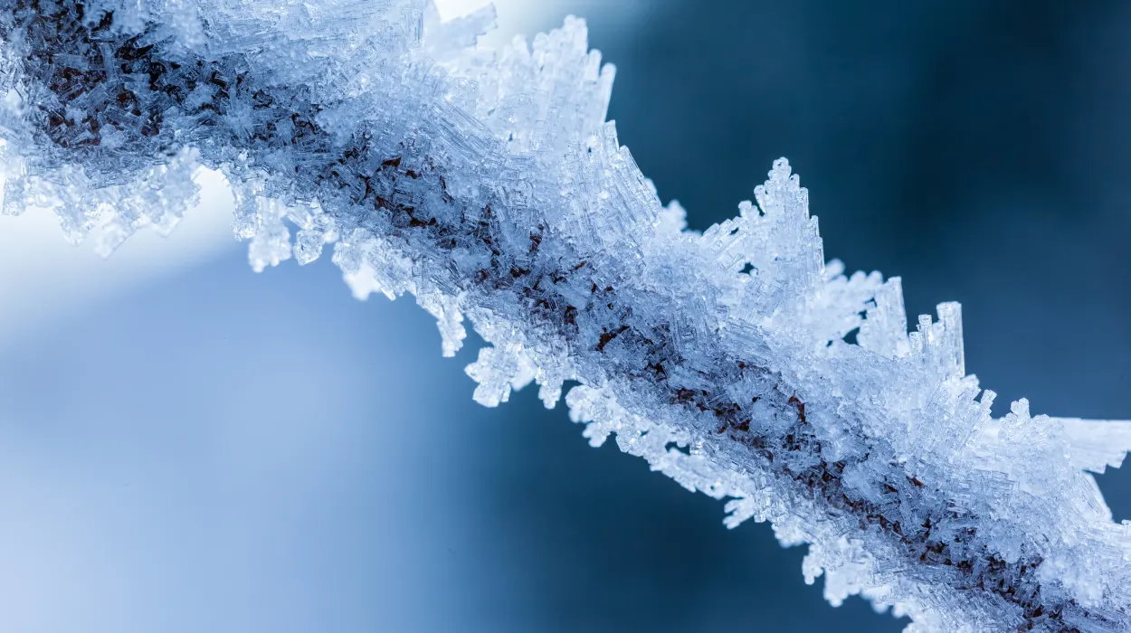 Belgium's coldest night Elsenborn hits minus 15.5 degrees