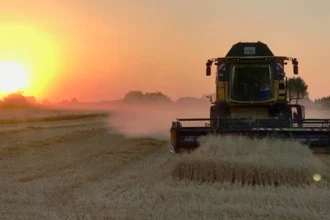 Belgium's record rainfall impacting farmers and agricultural economy