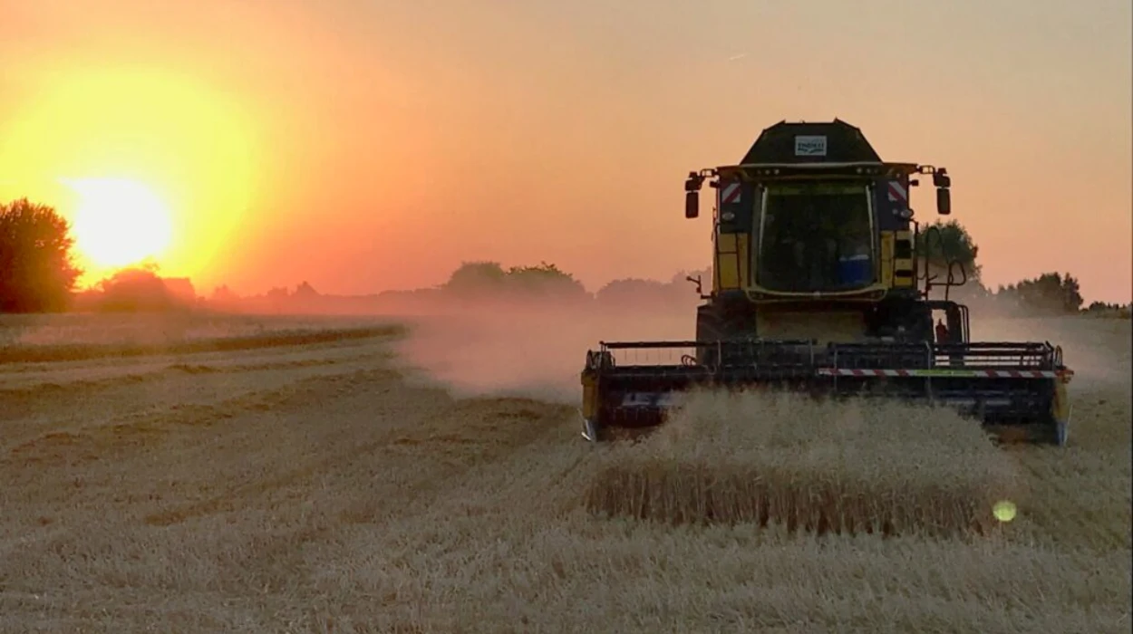 Belgium's record rainfall impacting farmers and agricultural economy