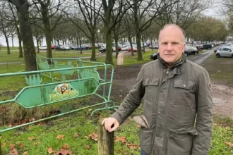 Bellewaerde Park plans to cut 223 trees near Ypres for solar Canopies