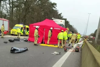 Beringen accident 79-year-old man killed in E314 pile-up
