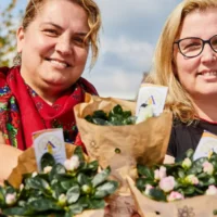 Berlaar volunteers take to the Streets for Plantjesweekend sale