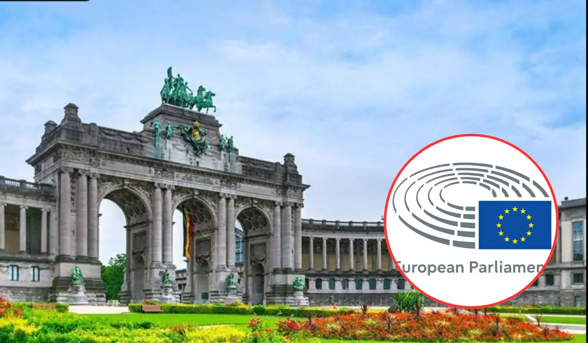 Bernd Lange Leads 12 MEP Trade Delegation in Brussels 2026