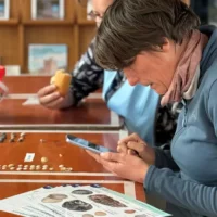 Big Shell Counting Day 10 coastal towns ID species