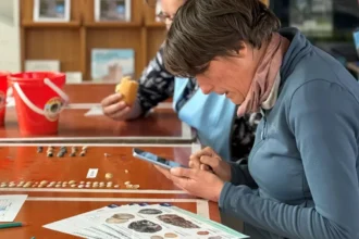 Big Shell Counting Day 10 coastal towns ID species