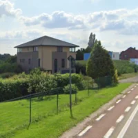 Bilzen-Hoeselt: Rumen urges leashing dogs to save lapwings