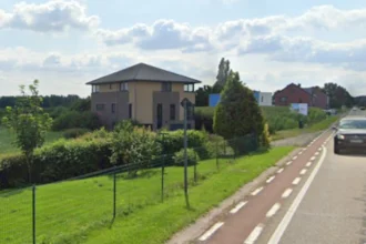 Bilzen-Hoeselt: Rumen urges leashing dogs to save lapwings