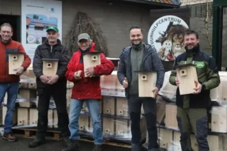 Bilzen's Munsterbos installs 168 new nest boxes for local bird conservation