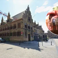 Bird Flu outbreaks in Veurne lead to a merged safety zone