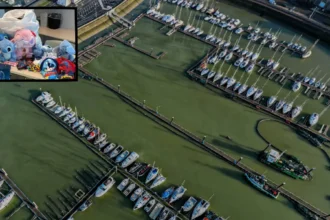 Blankenberge 707 fake goods seized, Martens warns sellers