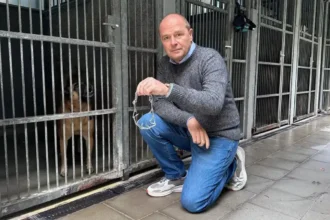 Blauwe Kruis Calls for Shock Collar Ban