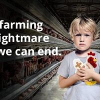 End the Cage Age campaign backed by animal welfare campaigners