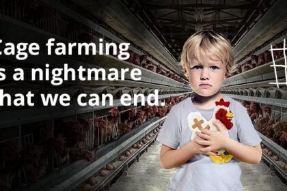 End the Cage Age campaign backed by animal welfare campaigners