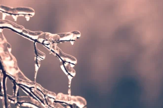 Blue Monday prompts frosty weather & warnings across Belgium