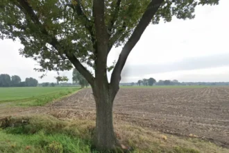 Body wrapped in plastic found in Brecht canal near Kleistraat