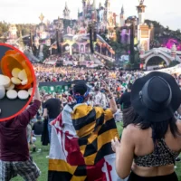 Boom: NICC warns of wide drug variety seized at Tomorrowland
