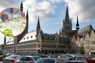 Boudry family starts large-scale hydroponic leeks in Ypres