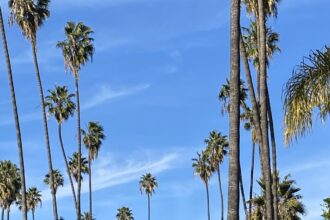 Rob Reiner news related to Brentwood investigation