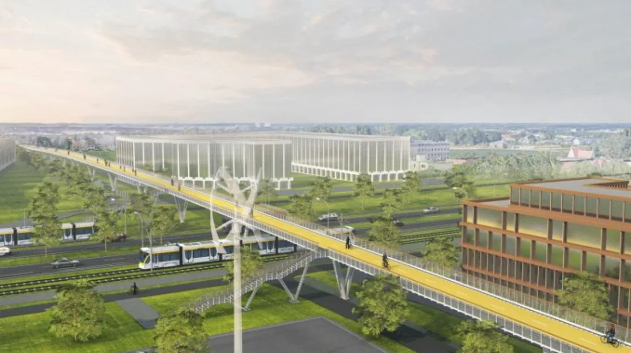 Bridge Project Background and Timeline