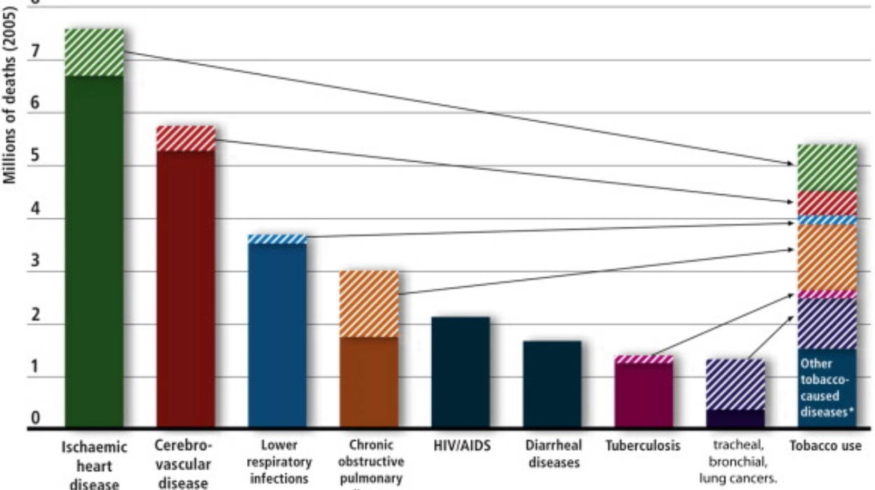 Broader Context of Tobacco Industry Pressures in Europe
