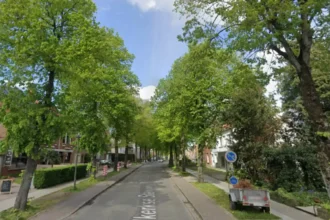 Bruges repairs 5 heat-damaged roads, and Demon leads the fix