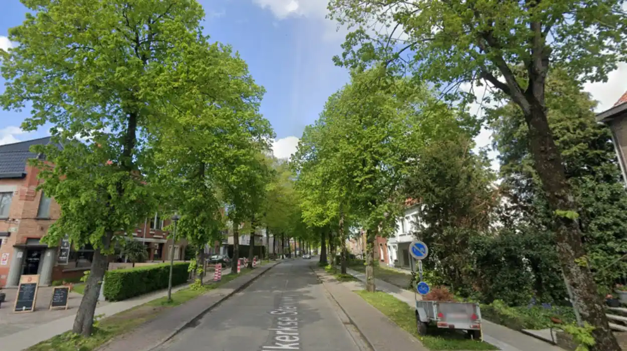 Bruges repairs 5 heat-damaged roads, and Demon leads the fix