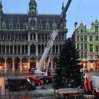 Brussels' 22-meter Christmas Tree Installed Pierre Demesmaeker's festive journey begins