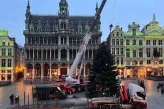 Brussels' 22-meter Christmas Tree Installed Pierre Demesmaeker's festive journey begins
