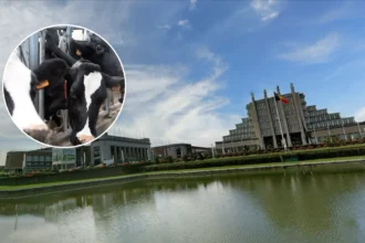 Brussels Agribex opens without animals due to new rules