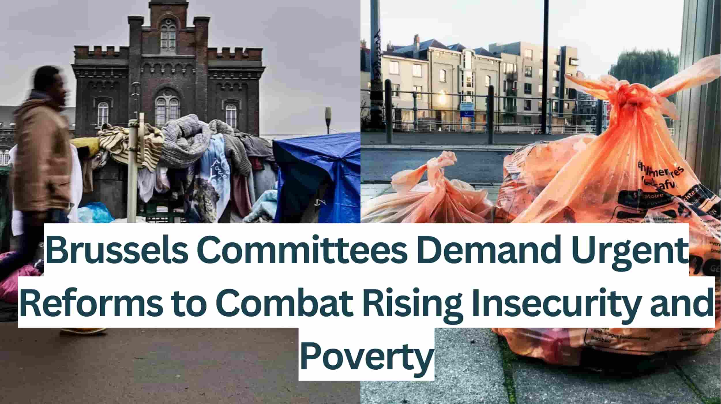 Brussels-Committees-Demand-Reforms-to-Combat-Rising-Insecurity