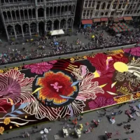 Brussels Flower Carpet 2024