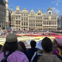 Brussels Flower Carpet Event 2024