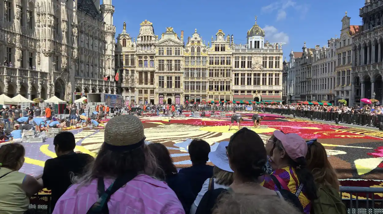 Brussels Flower Carpet Event 2024