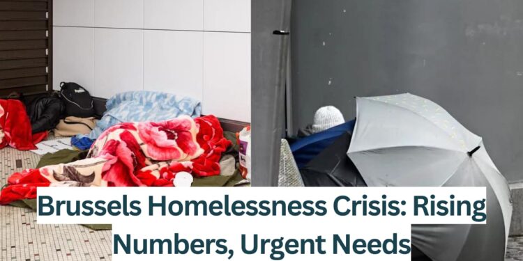 Brussels-Homelessness-Crisis-Rising-Numbers-Urgent-Needs