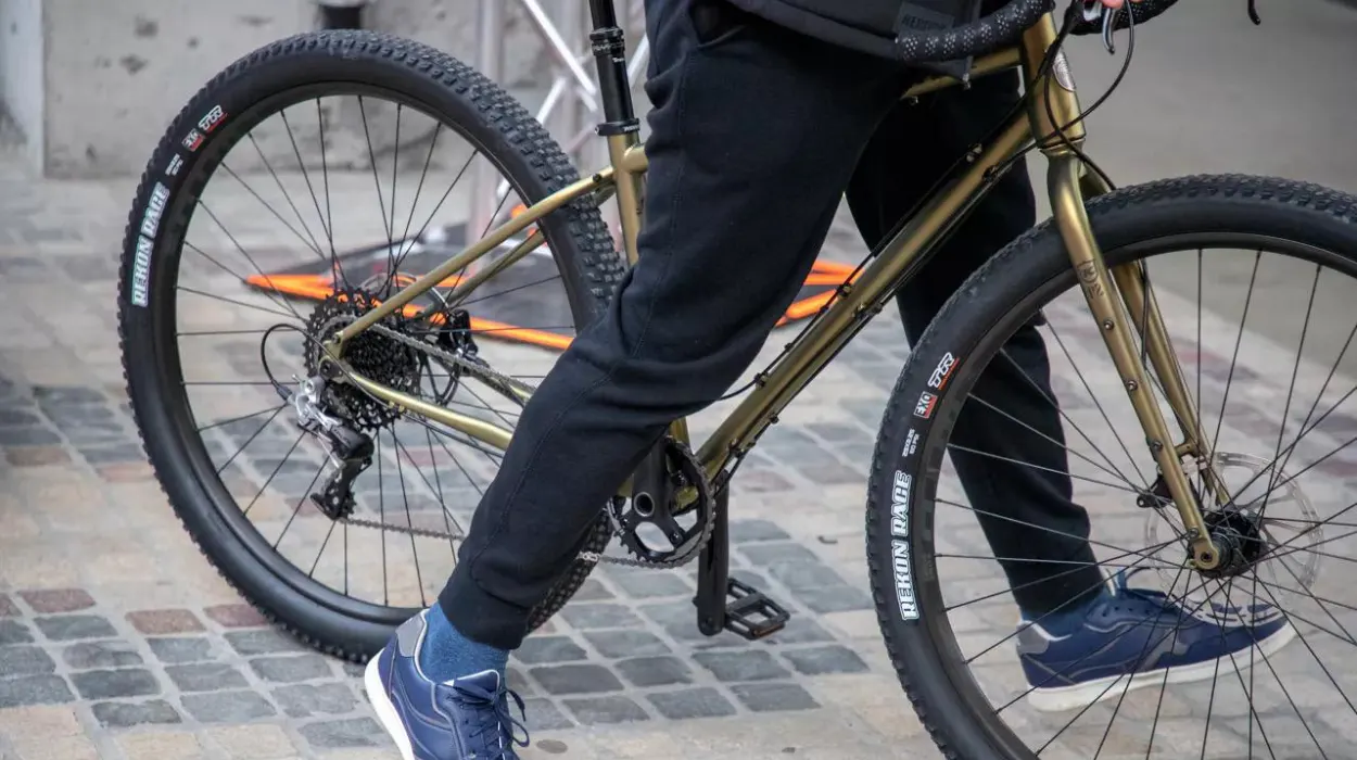 Brussels Police investigate suspected bike thief with drugs found