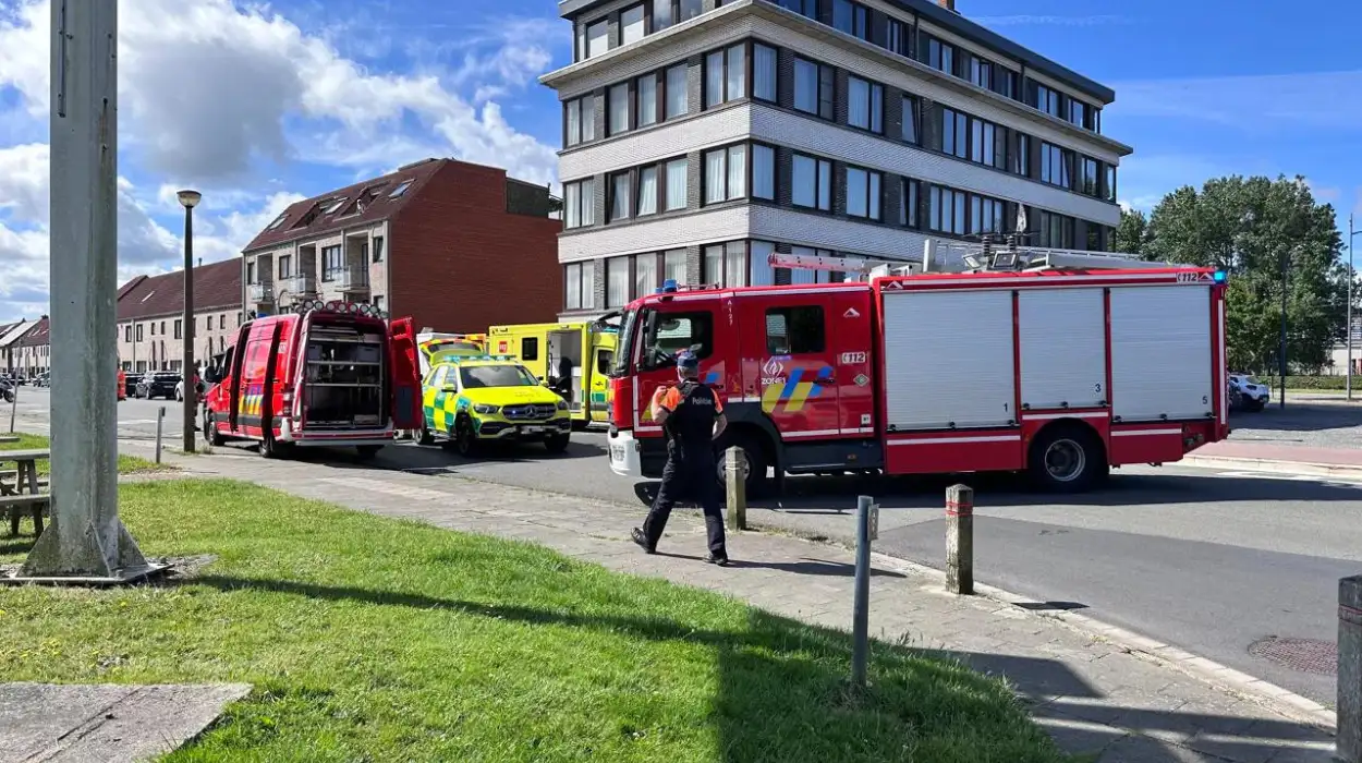 Bystanders' efforts unable to save elderly woman's life