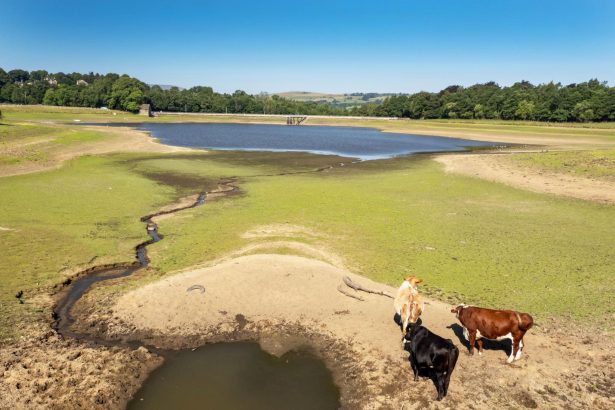 Drought-hit farmers managing crops during dry summer weather