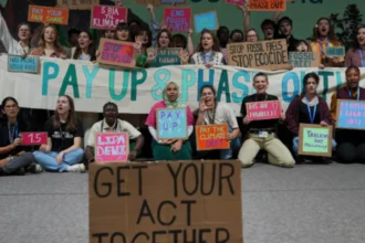 Campaign group says COP29 fails to meet climate needs