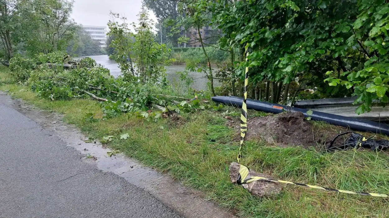 Car crash accident in Ghent claims lives of young couple