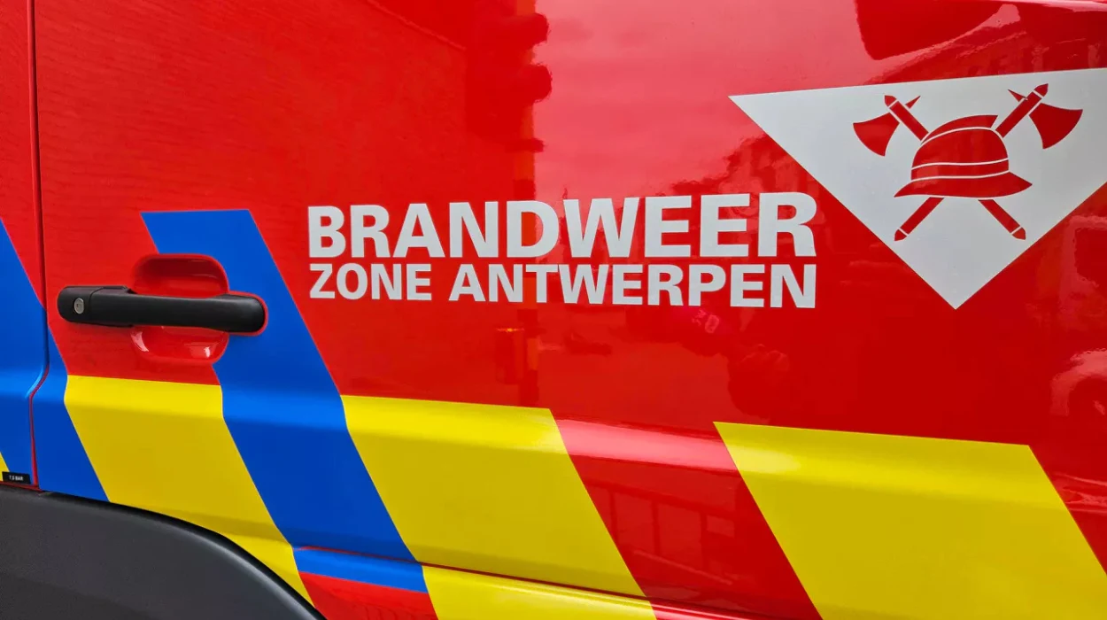 Car fire in Robianostraat, Borsbeek, investigated by police