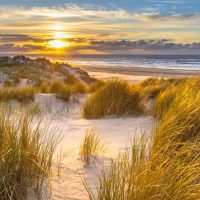 Court of Justice of the European Union ruling on Portugal Habitats Directive fine