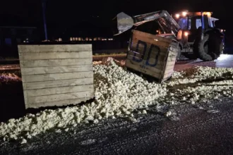 Cauliflower spill causes major traffic jam on Ypres-Poperinge route; no injuries reported