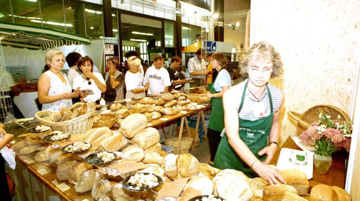 Celebrating Belgium's Culture of Eco-Friendly Society