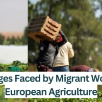 Challenges-Faced-by-Migrant-Workers-in-European-Agriculture
