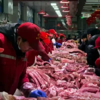 China delays EU pork probe amid electric vehicle talks