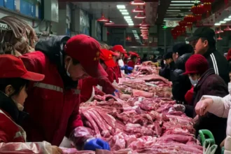 China delays EU pork probe amid electric vehicle talks