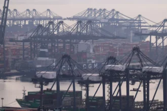 China export curbs push European firms to diversify sourcing