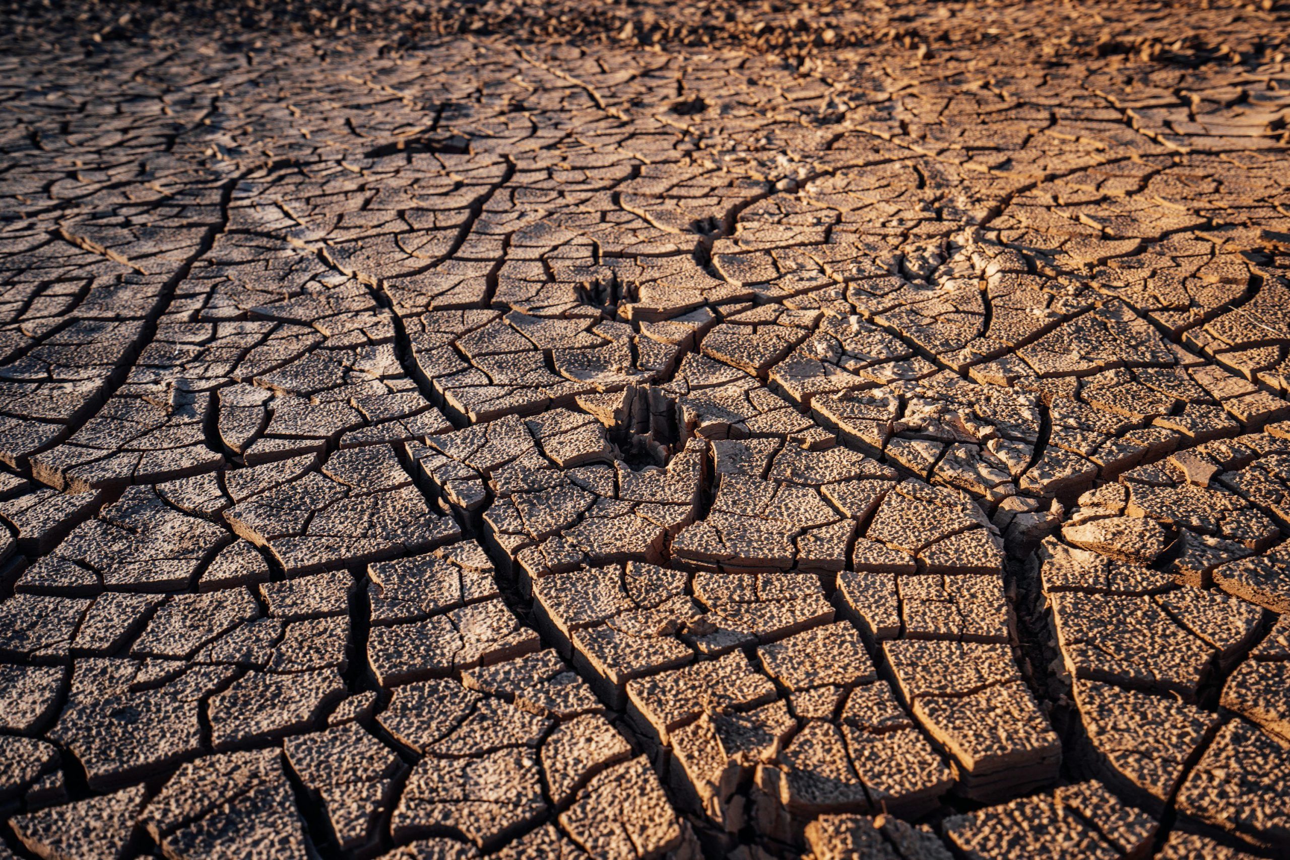Strong El Niño raises drought and extreme heat risks