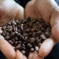 Colruyt Suspends Douwe Egberts Coffee Orders Amid Rising Prices