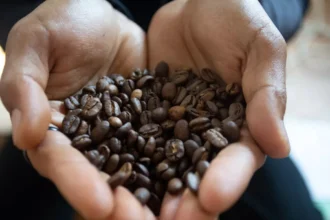 Colruyt Suspends Douwe Egberts Coffee Orders Amid Rising Prices